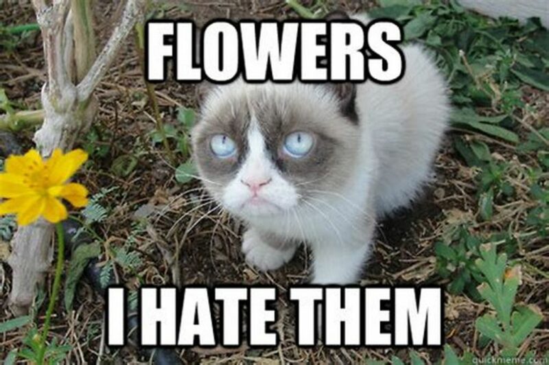 41 Delightful Flower Memes - "Flowers. I hate them."