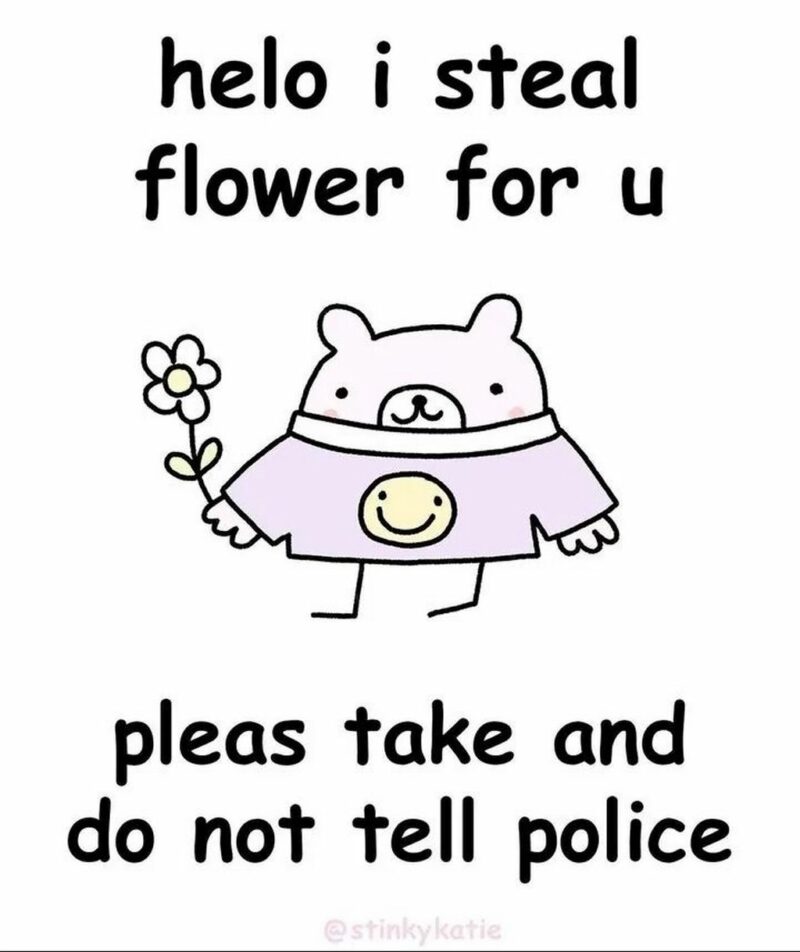 41 Delightful Flower Memes - "Hello, I steal a flower for u. Please take and do not tell the police."
