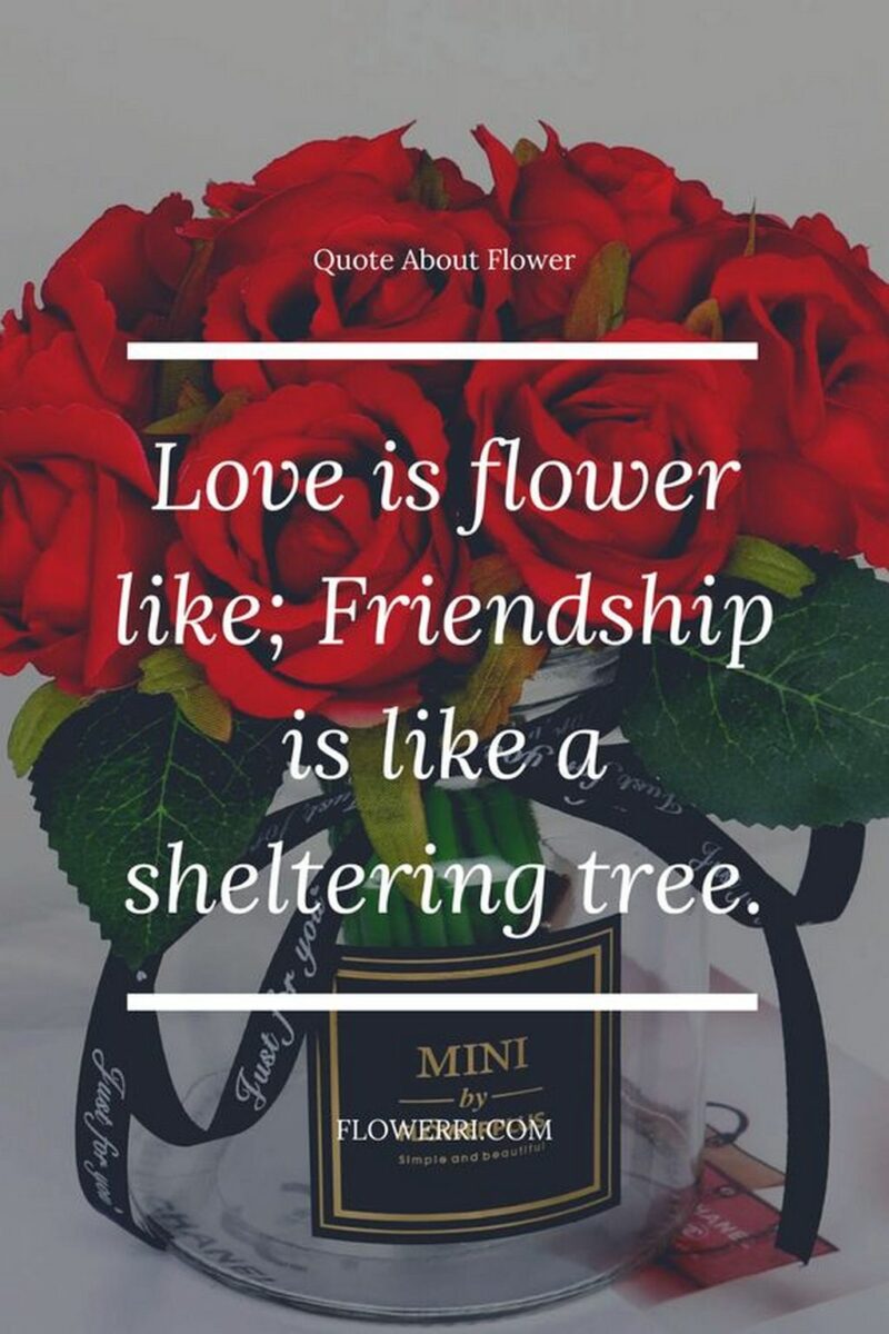 41 Delightful Flower Memes - "Love is flower-like; Friendship is like a sheltering tree."