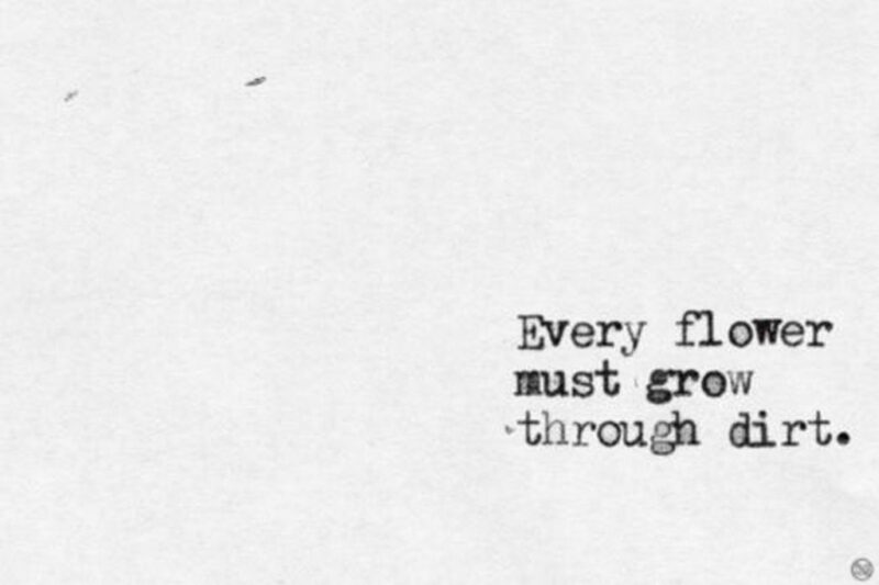41 Delightful Flower Memes - "Every flower must grow through dirt."