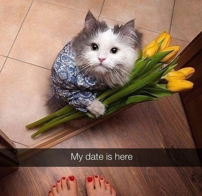 41 Delightful Flower Memes - "My date is here."