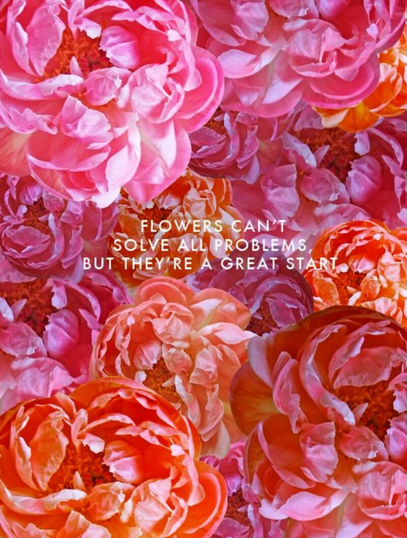 "Flowers can't solve all problems, but they're a great start."