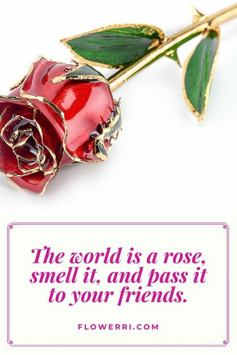 41 Delightful Flower Memes - "The world is a rose, smell it, and pass it to your friends."