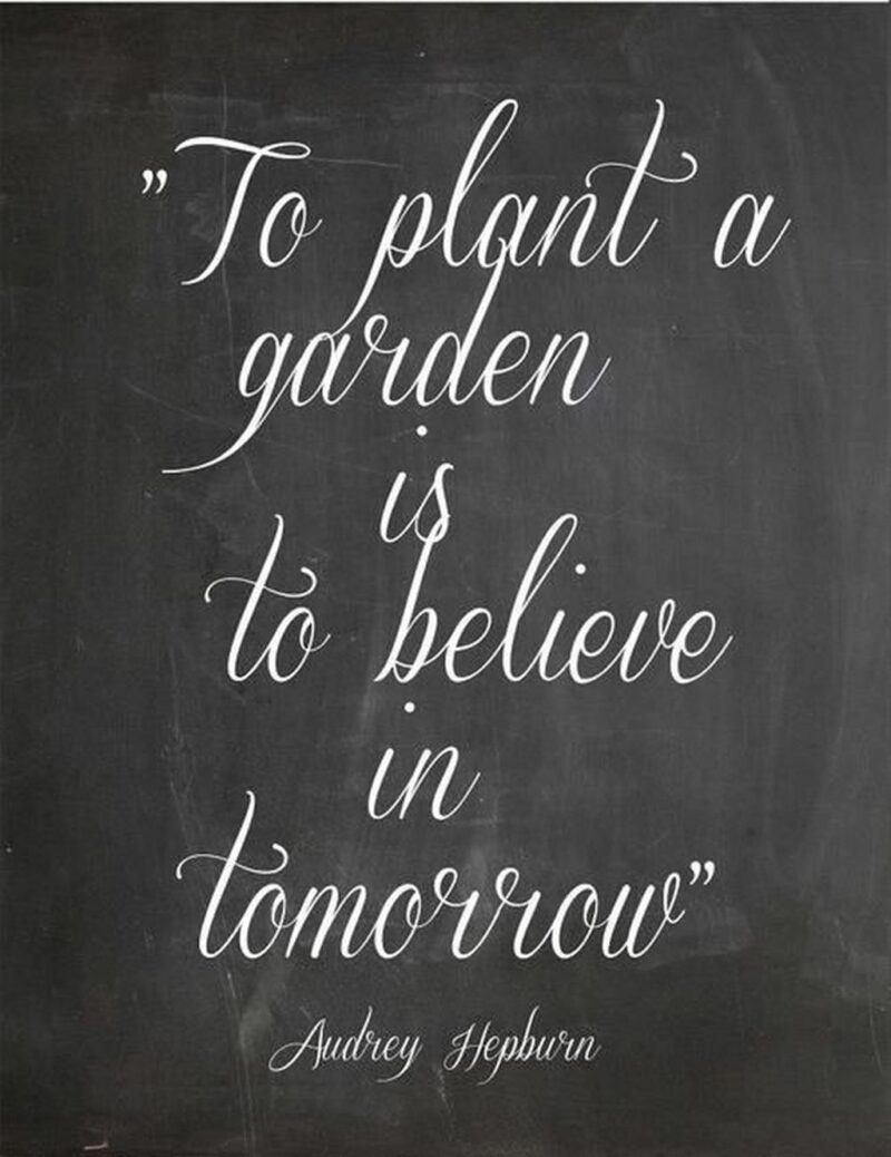 "To plant a garden is to believe in tomorrow." - Audrey Hepburn