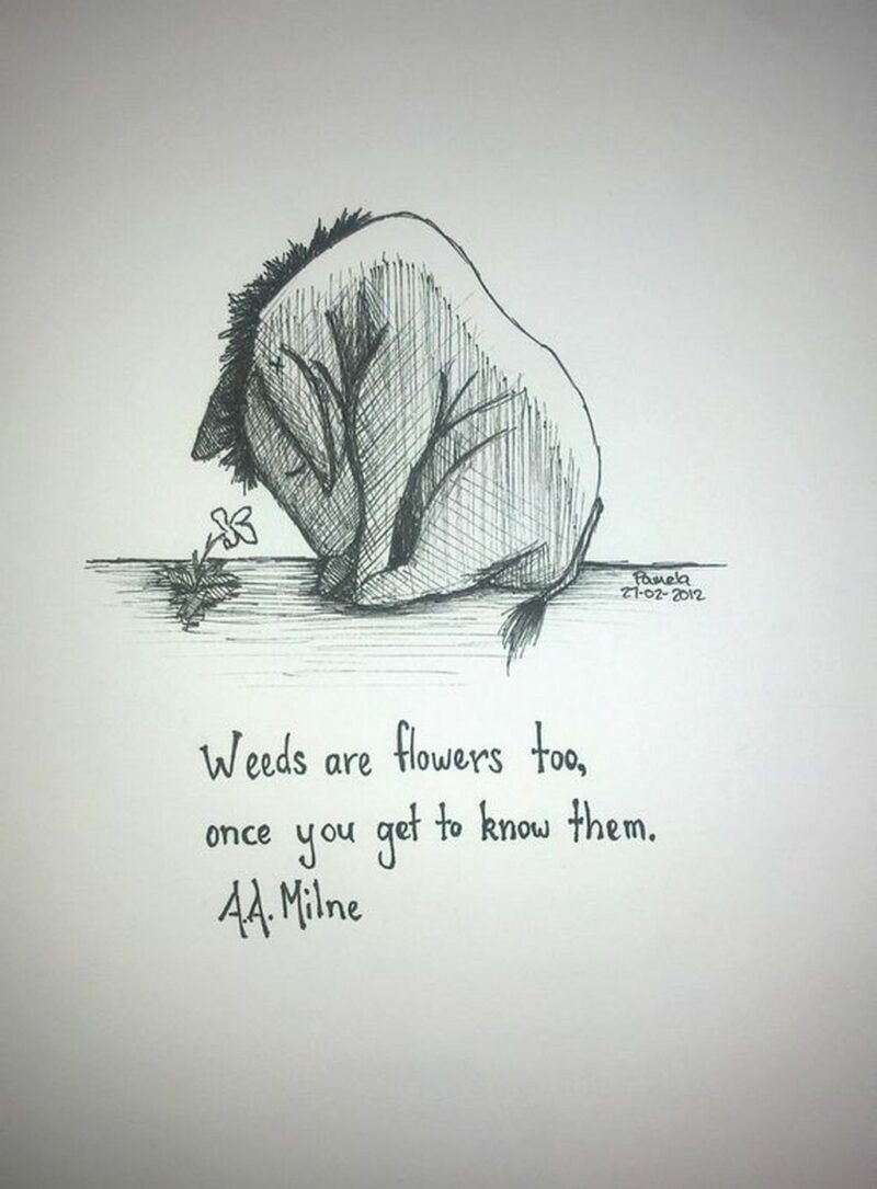 "Weeds are flowers too, once you get to know them." - A.A. Milne