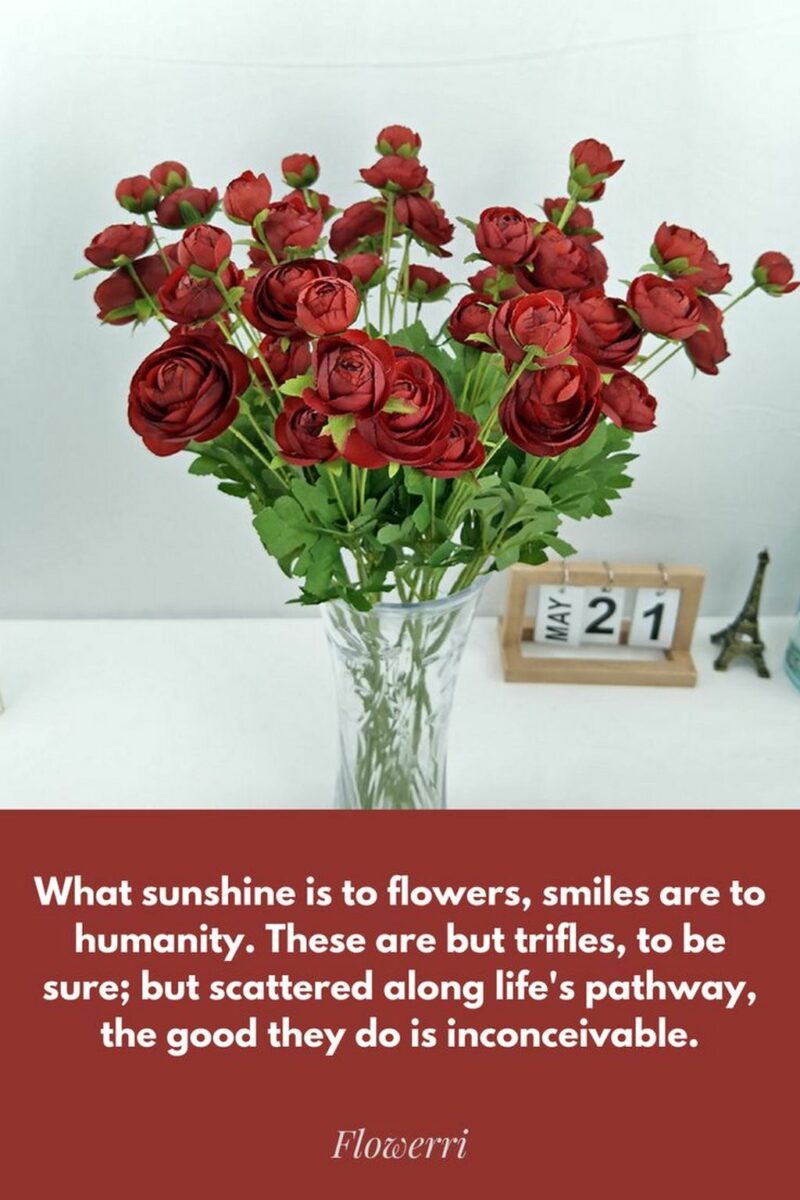"What sunshine is to flowers, smiles are to humanity. These are but trifles, to be sure; but scattered along life's pathway, the good they do is inconceivable."