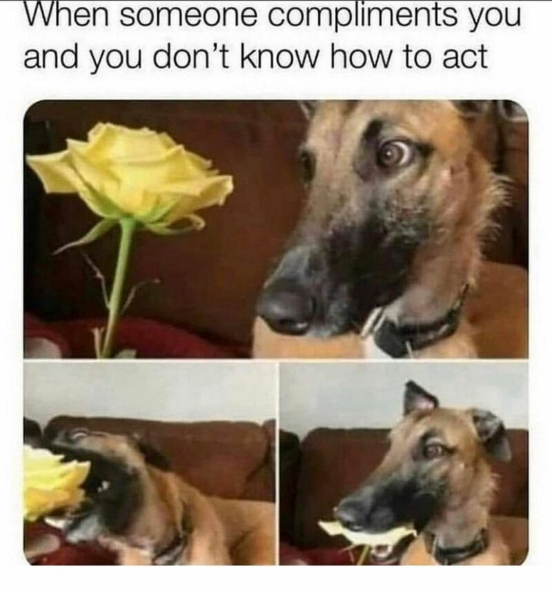 "When someone compliments you and you don't know how to act."