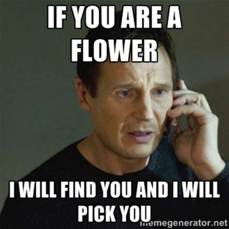 "If you are a flower I will find you and I will pick you."
