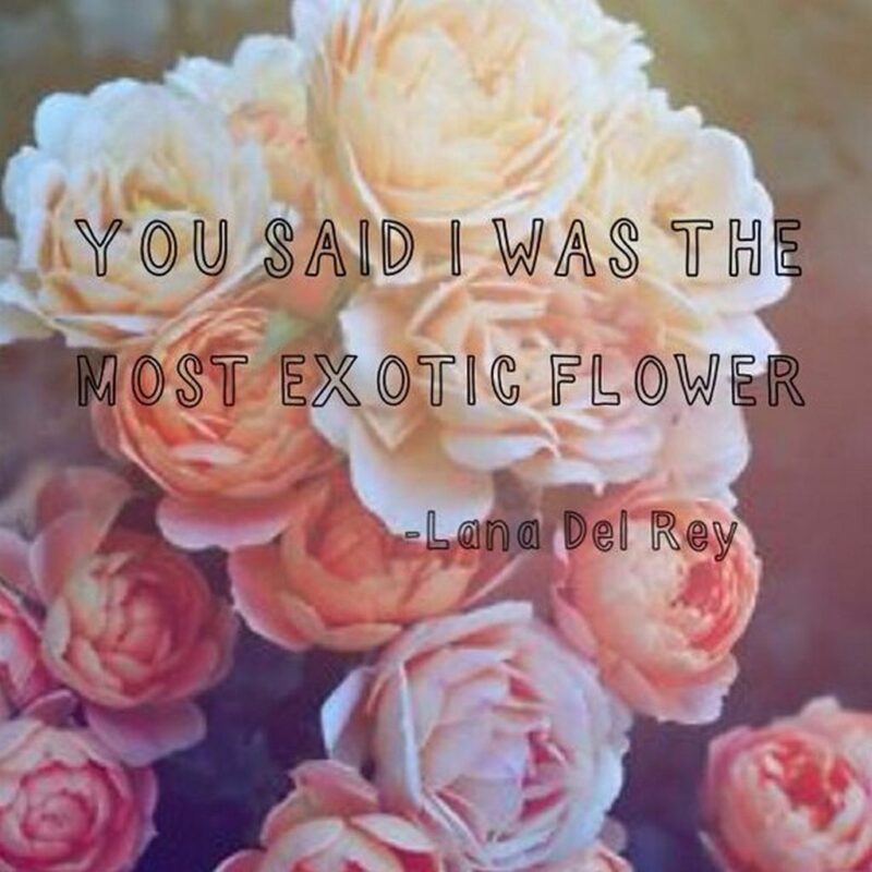 "You said I was the most exotic flower." - Lana Del Rey