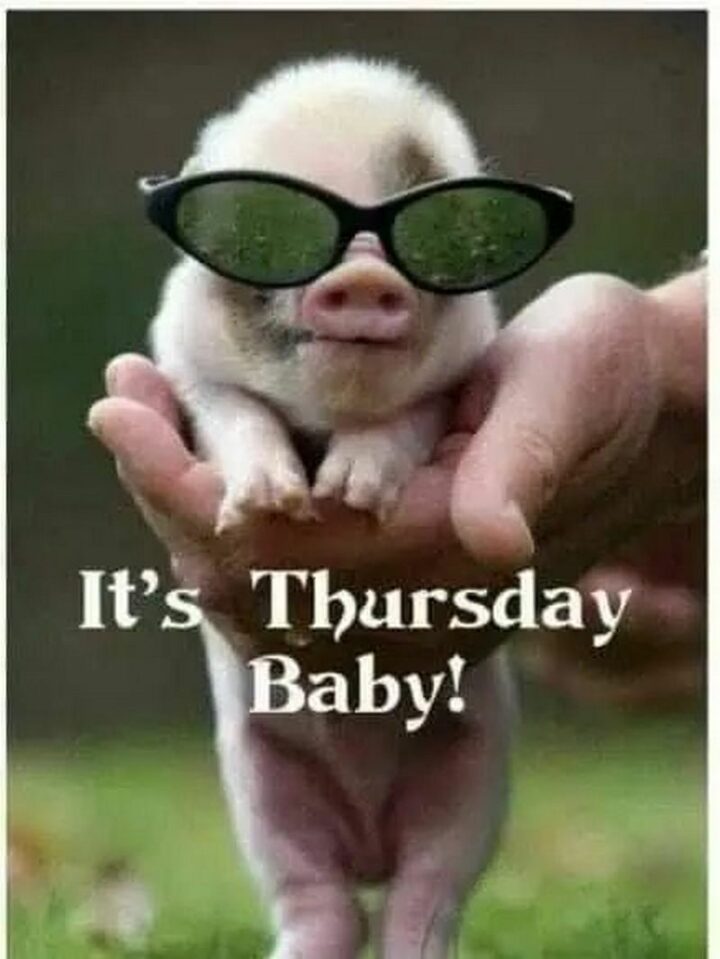 61 Happy Friday Eve Memes - "It's Thursday Baby!"