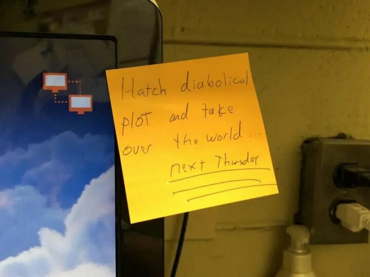 "Hatch diabolical plot and take over the world...next Thursday."