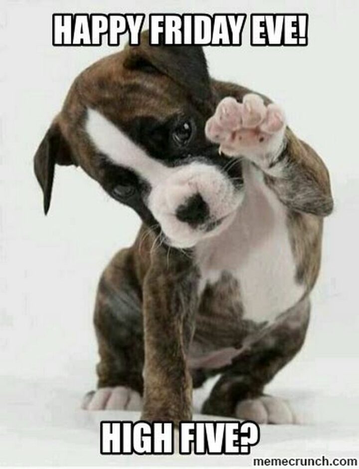 "Happy Friday Eve! High five?"