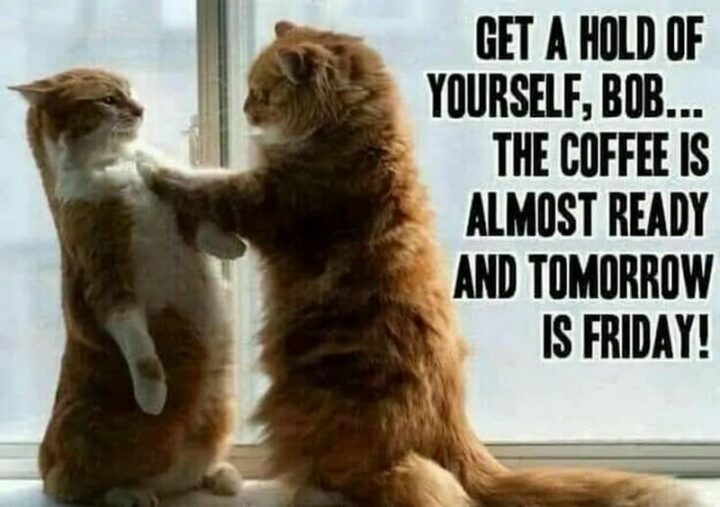 "Get a hold of yourself, Bob...The coffee is almost ready and tomorrow is Friday!"