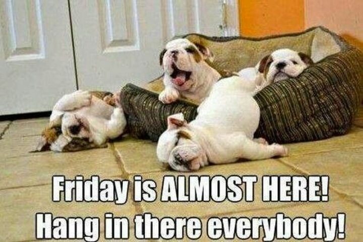 "Friday is almost here! Hang in there everybody!"