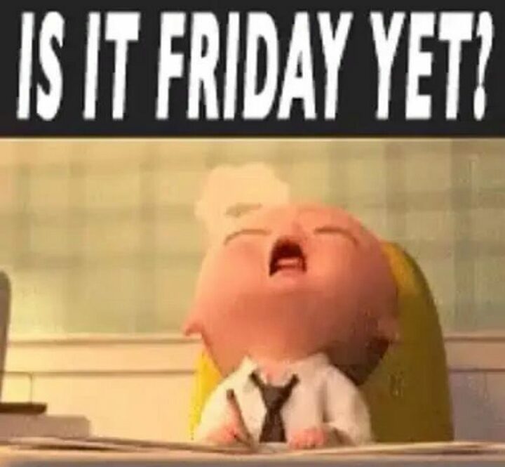 "Is it Friday yet?"