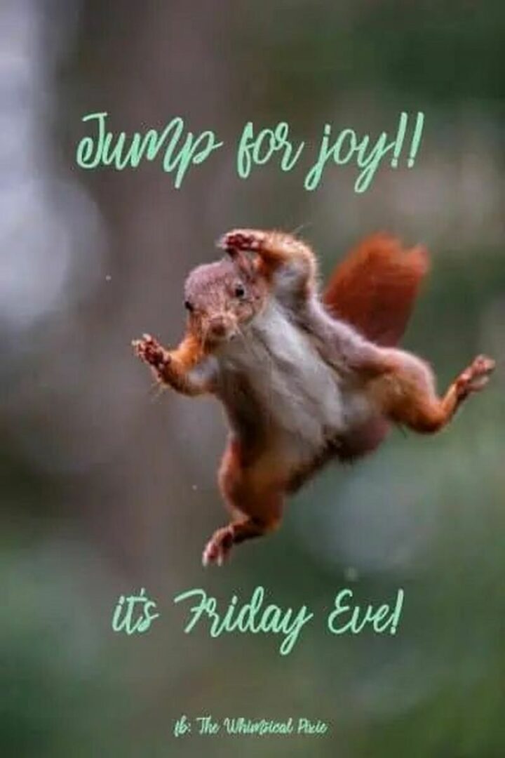 "Jump for joy!! It's Friday Eve!"