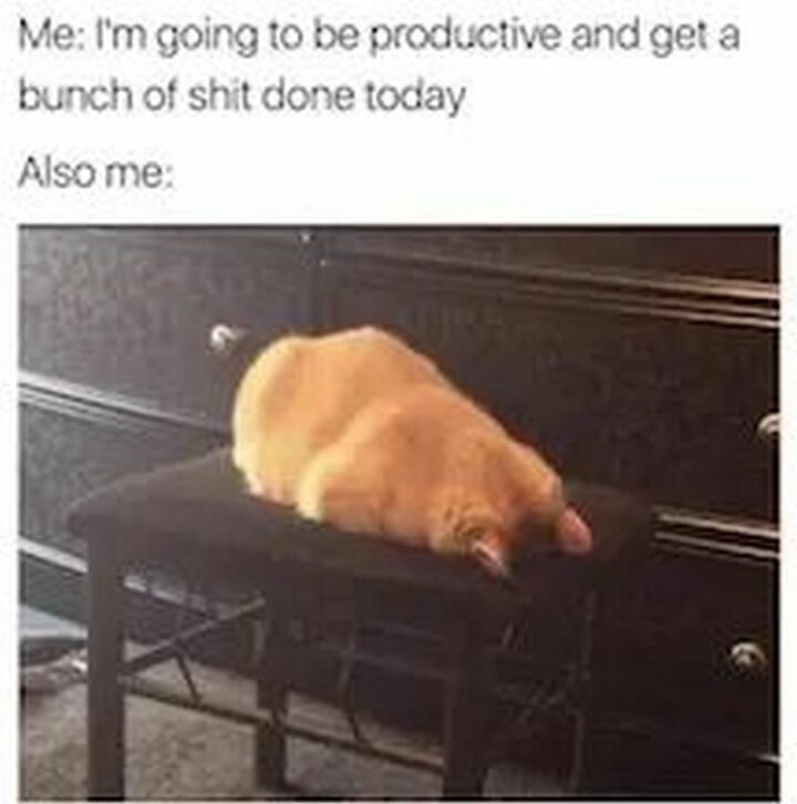 "Me: I'm going to be productive and get a bunch of [censored] done today. Also me:"