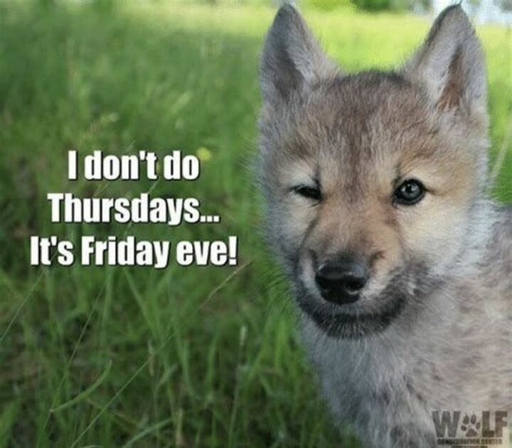 "I don't do Thursdays...It's Friday Eve!"
