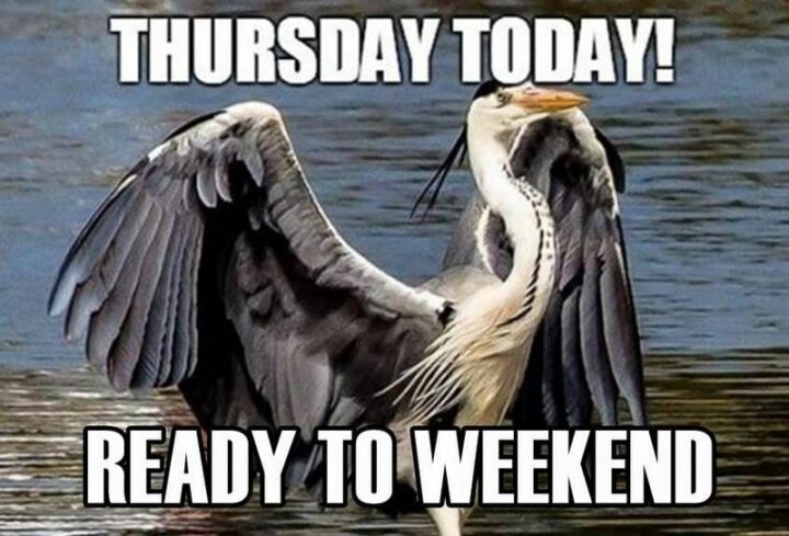 "Thursday today! Ready to weekend."