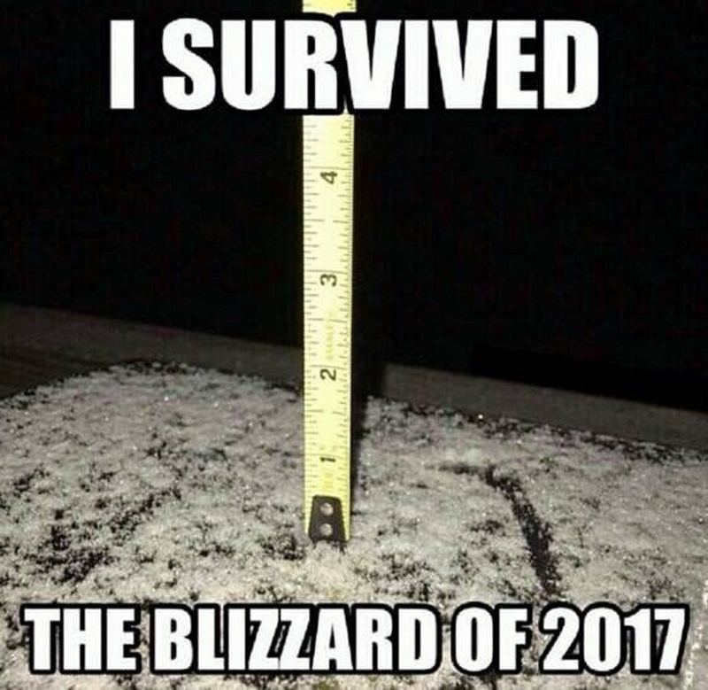 "I survived the blizzard of 2017."