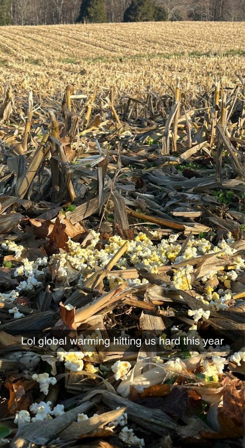 "LOL, global warming hitting us hard this year."