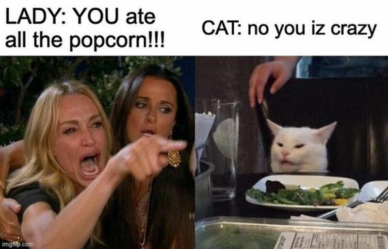 "Lady: You ate all the popcorn!!! Cat: No you are crazy."