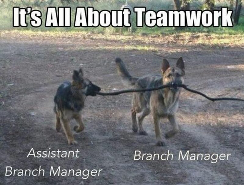 "It's all about teamwork. Assistant Branch Manager. Branch Manager."