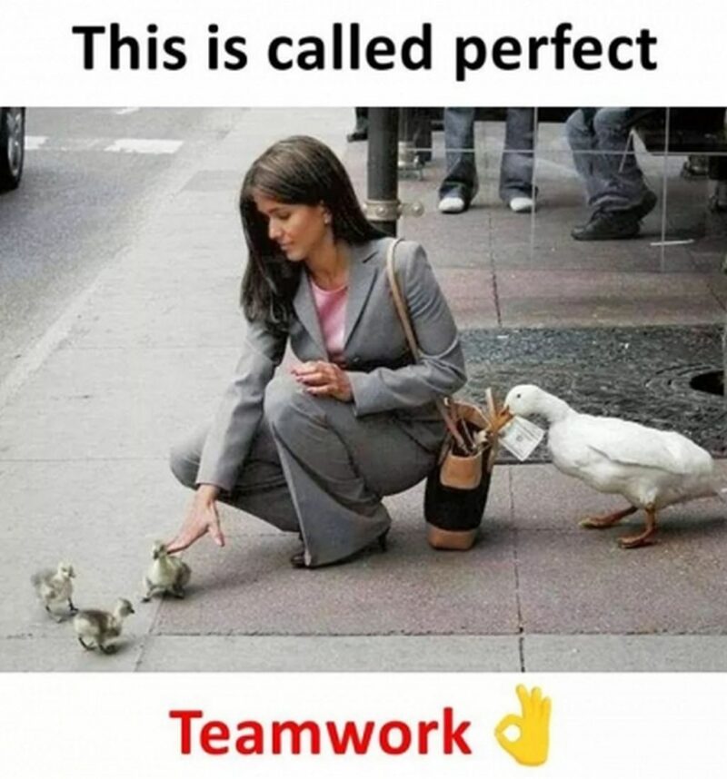 "This is called perfect teamwork."