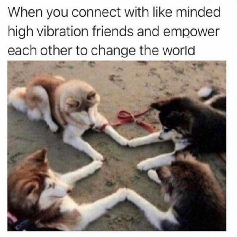 "When you connect with like-minded high-vibration friends and empower each other to change the world."