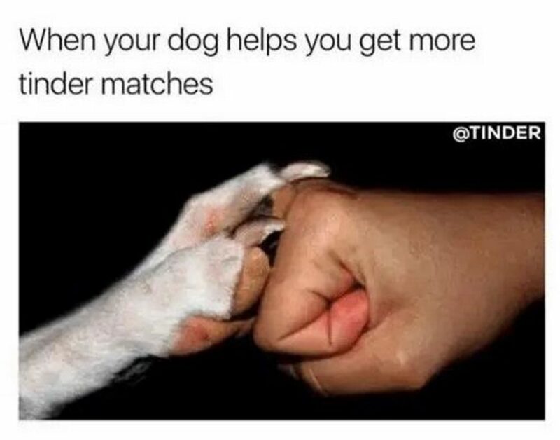 "When your dog helps you get more Tinder matches."