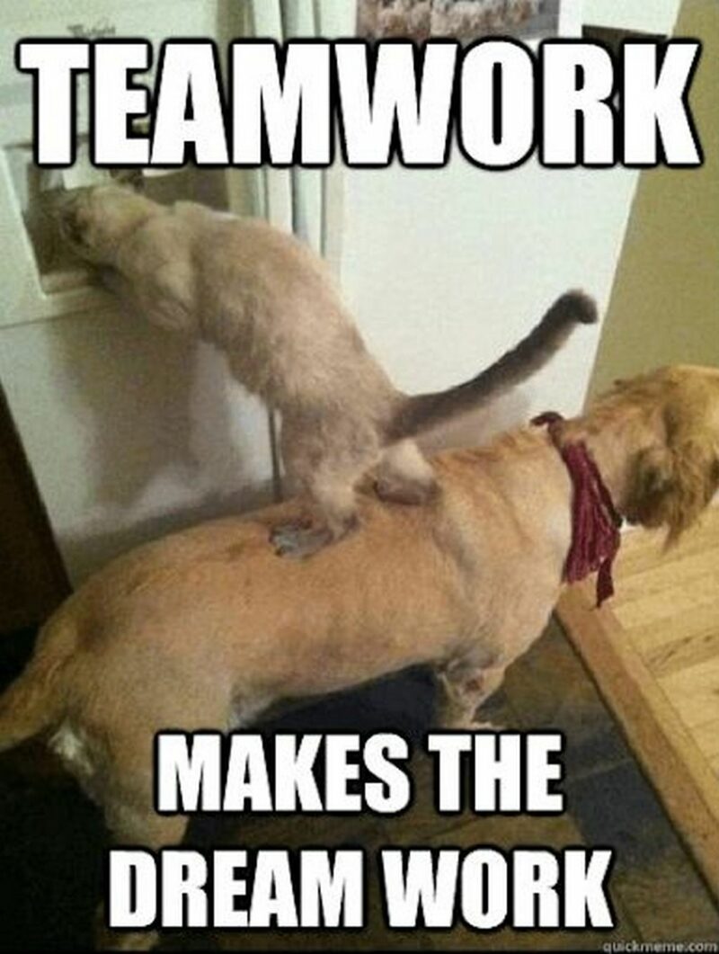 "Teamwork makes the dream work."