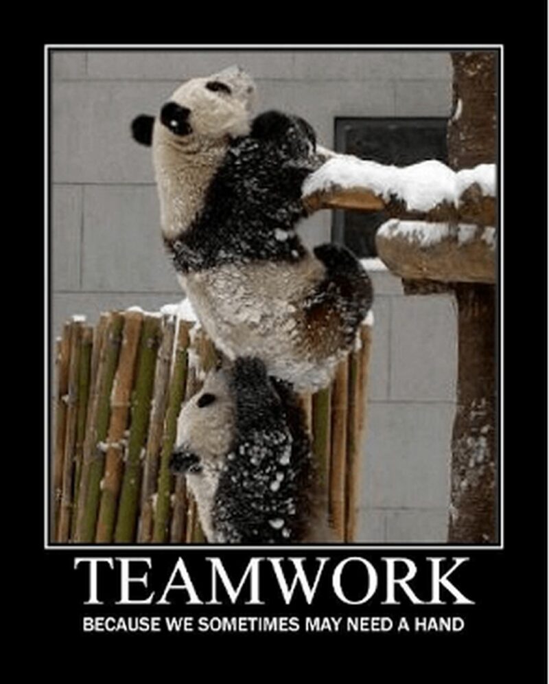 "Teamwork: Because we sometimes may need a hand."