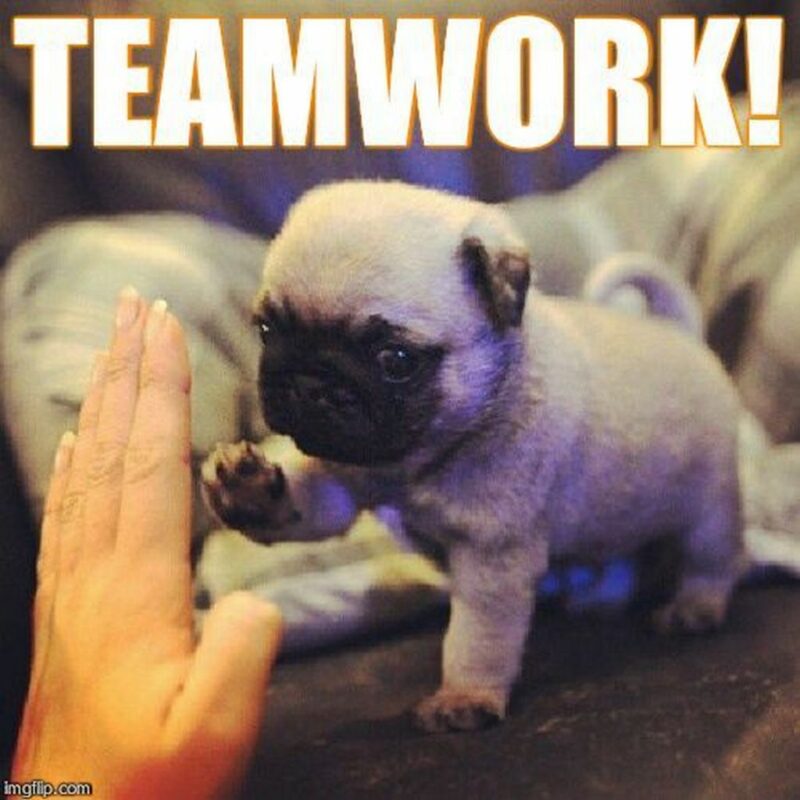 "Teamwork!"