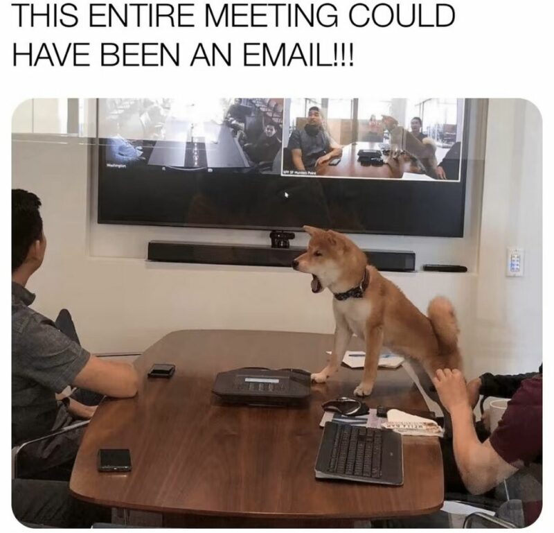 "THIS ENTIRE MEETING COULD HAVE BEEN AN EMAIL!!!"