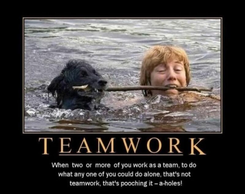 "Teamwork: When two or more of you work as a team to do what any one of you could do alone. That's not teamwork, that's pooching it [censored]!"