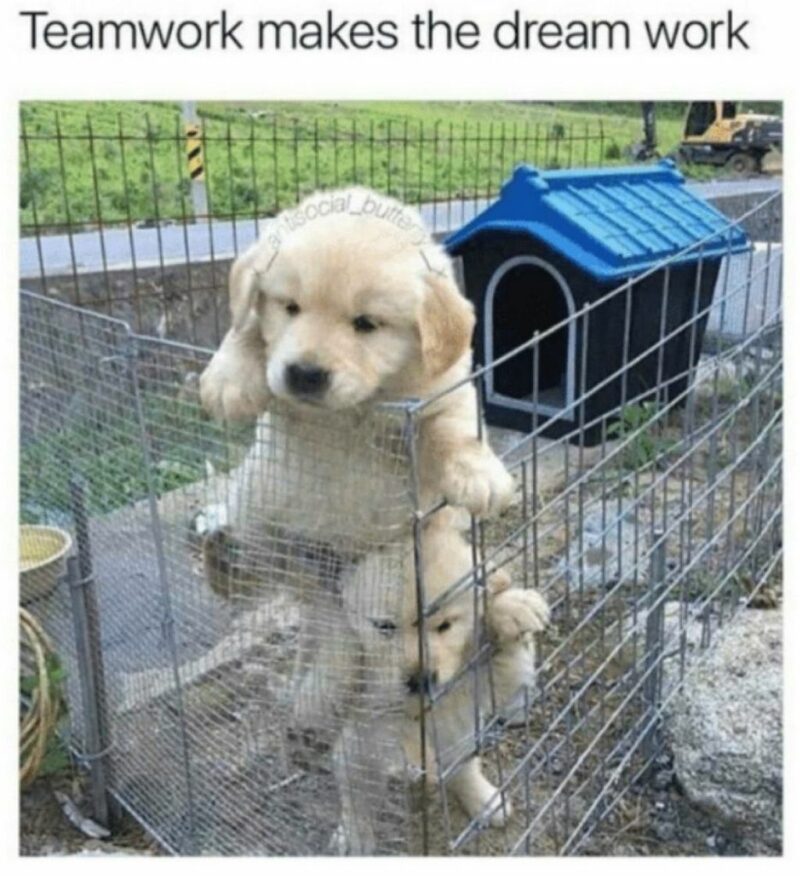"Teamwork makes the dream work."