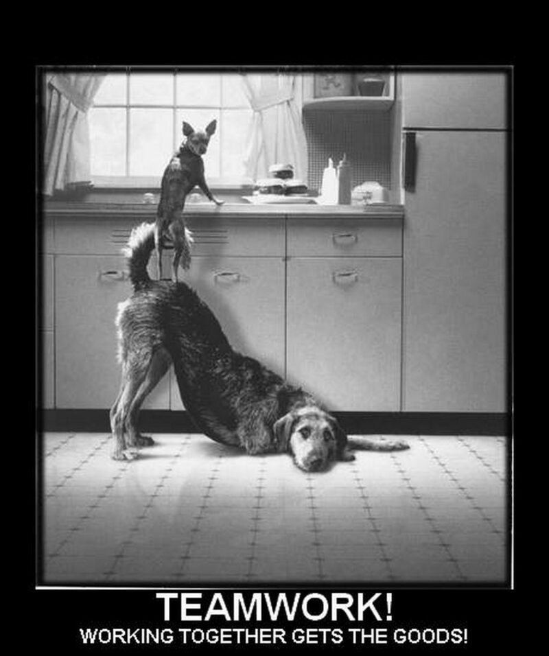 "Teamwork! Working together gets the goods!"