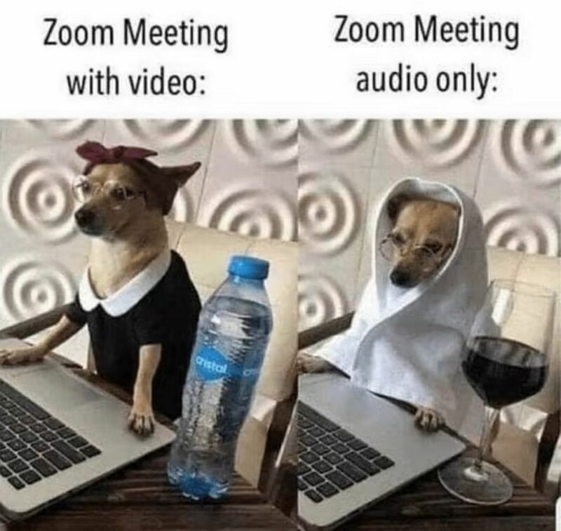 "Zoom meeting with video. Zoom meeting audio only."