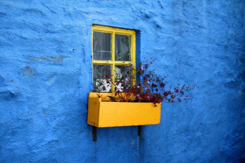 For homeowners, window replacement projects may be quite profitable. They not only enhance a home's visual appeal, but they also increase energy efficiency. 