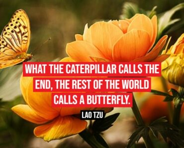 101 Lao Tzu Quotes Exploring His Timeless Wisdom