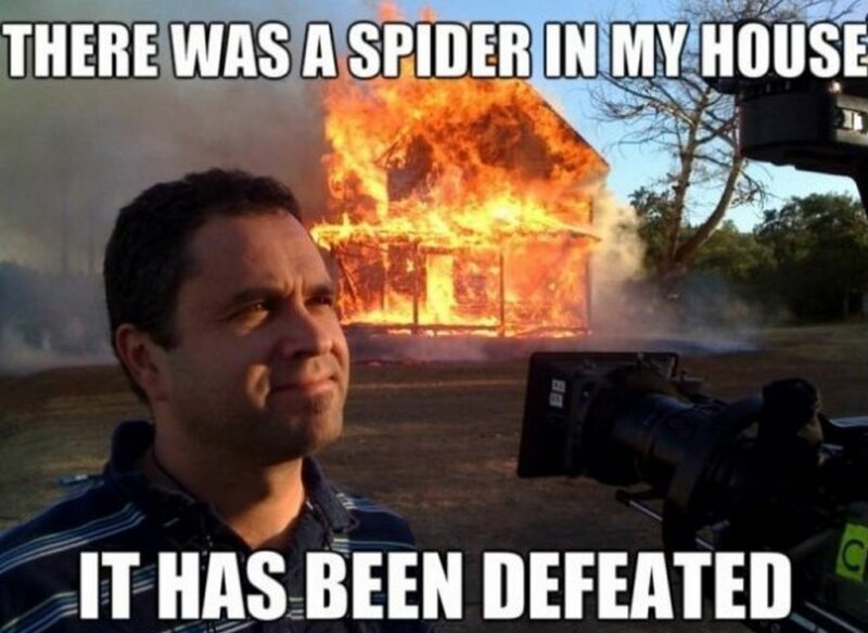 "There was a spider in my house. It has been defeated."