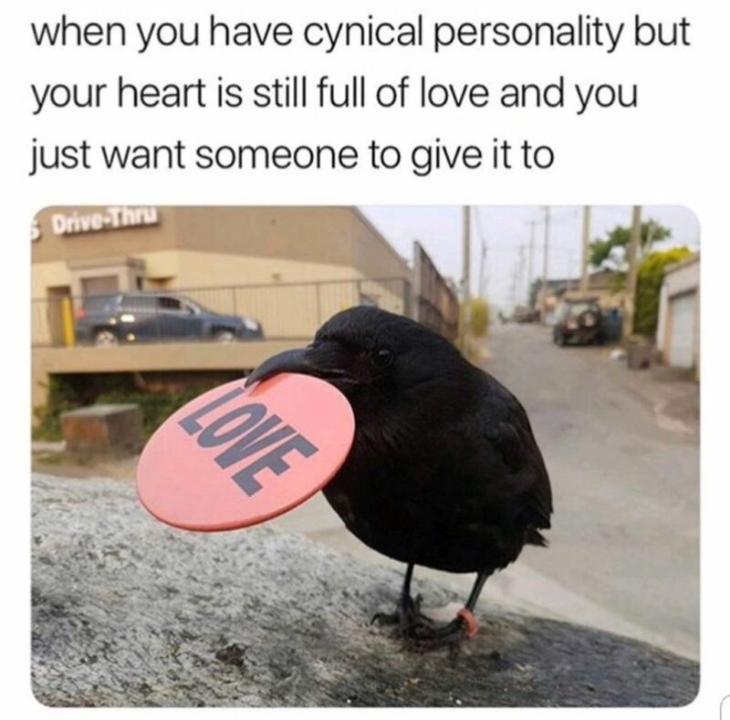 35 mental health memes - "When you have a cynical personality but your heart is still full of love and you just want someone to give it to. Love."