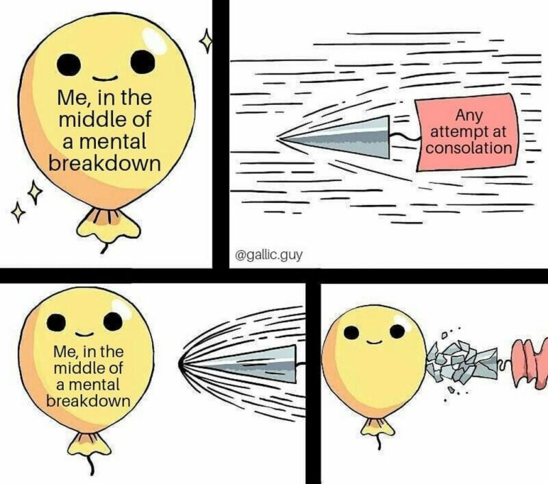 35 mental health memes - "Me, in the middle of a mental breakdown. Any attempt at consolation. Me, in the middle of a mental breakdown."