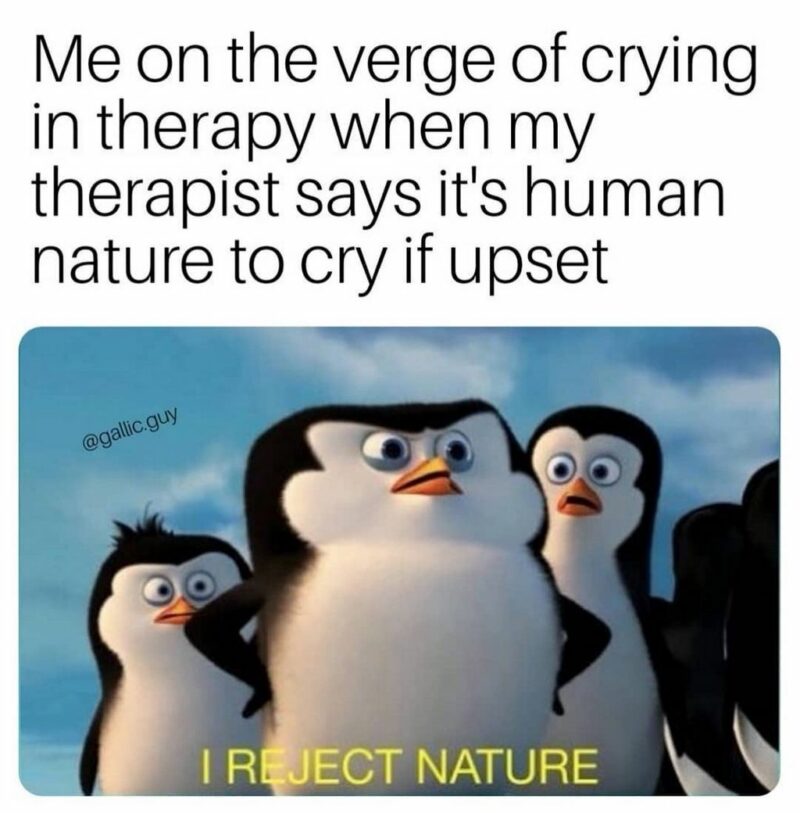 35 mental health memes - "Me on the verge of crying in therapy when my therapist says it's human nature to cry if upset. I reject nature."