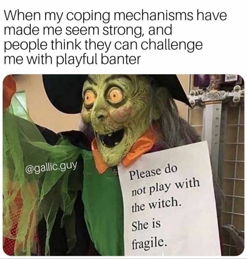 35 mental health memes - "When my coping mechanisms have made me seem strong, and people think they can challenge me with playful banter. Please do not play with the witch. She is fragile."