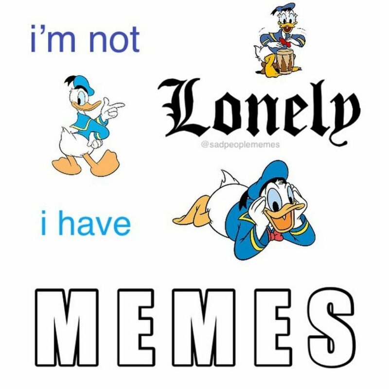 35 mental health memes - "I'm not lonely, I have memes."