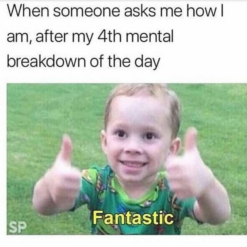 35 mental health memes - "When someone asks me how I am, after my 4th mental breakdown of the day: Fantastic."