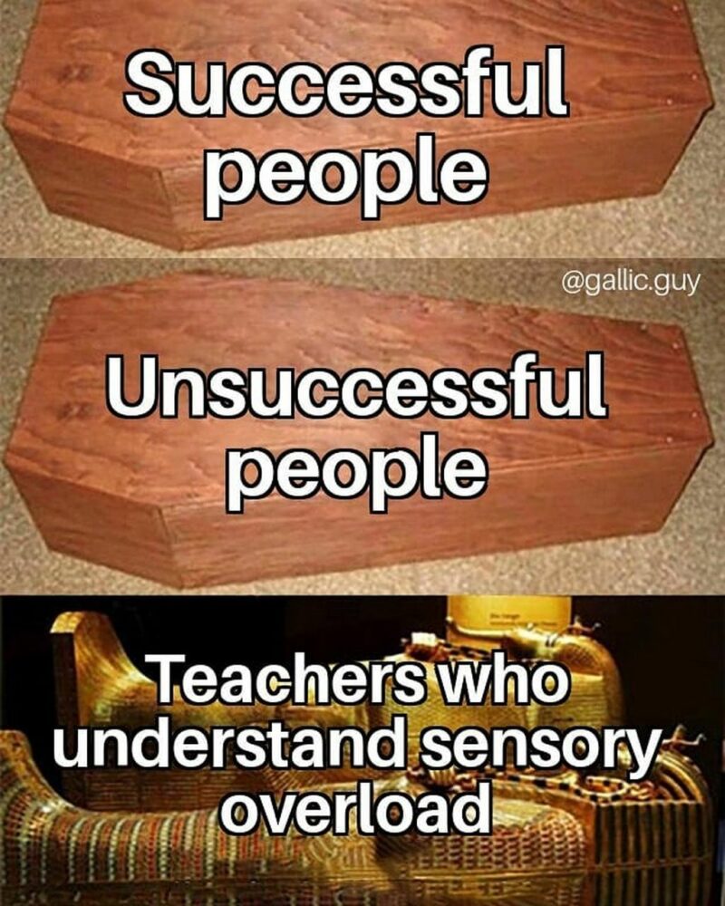 35 mental health memes - "Successful people. Unsuccessful people. Teachers who understand sensory overload."