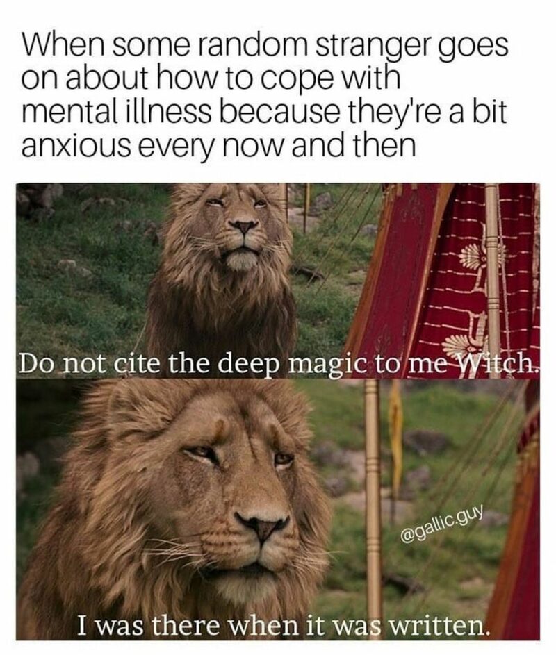 "When some random stranger goes on about how to cope with mental illness because they're a bit anxious every now and then. Do not cite the deep magic to me, witch. I was there when it was written."