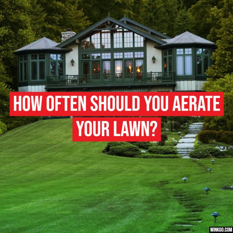 In this article, we'll explore the factors that influence the frequency of lawn aeration and provide insights to help you keep your lawn in optimal condition.